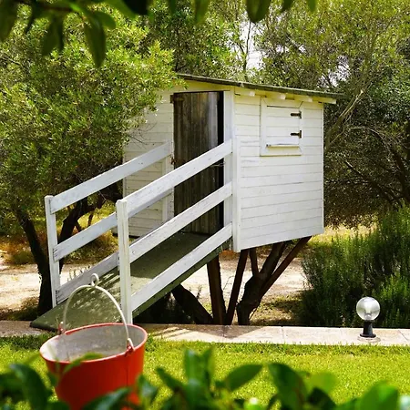 Chanel Bellissima Con Piscina Immersa Nella Valle D'itria Villa Ostuni